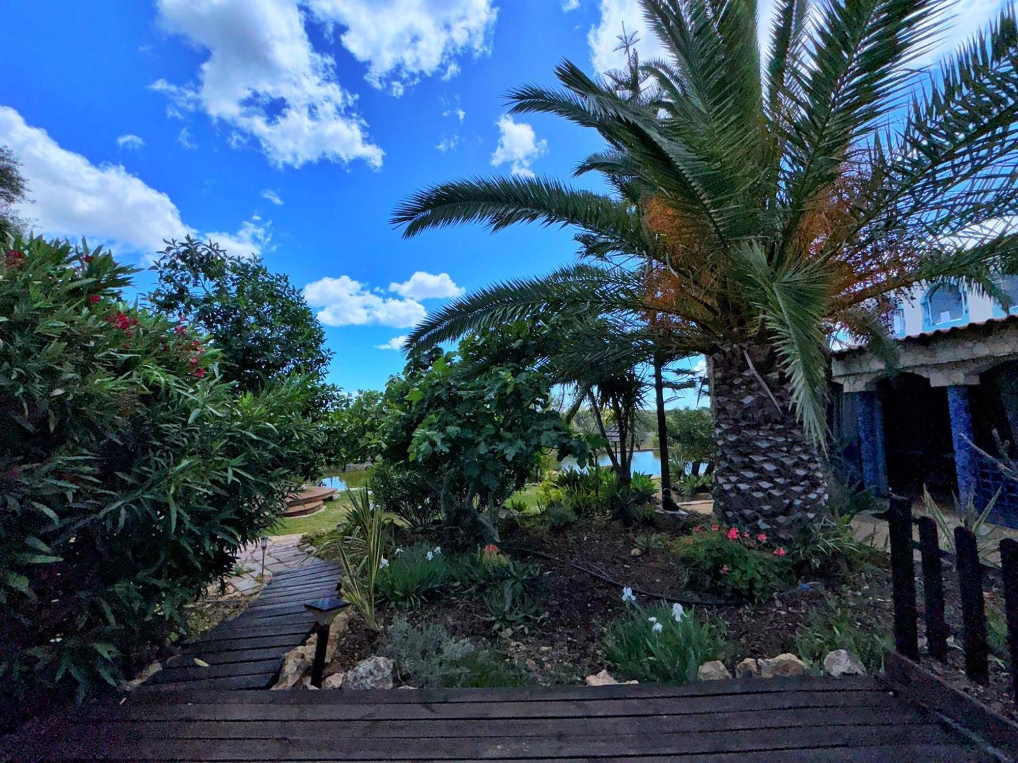 ホテル Oasis Camp Portugal ラゴア エクステリア 写真